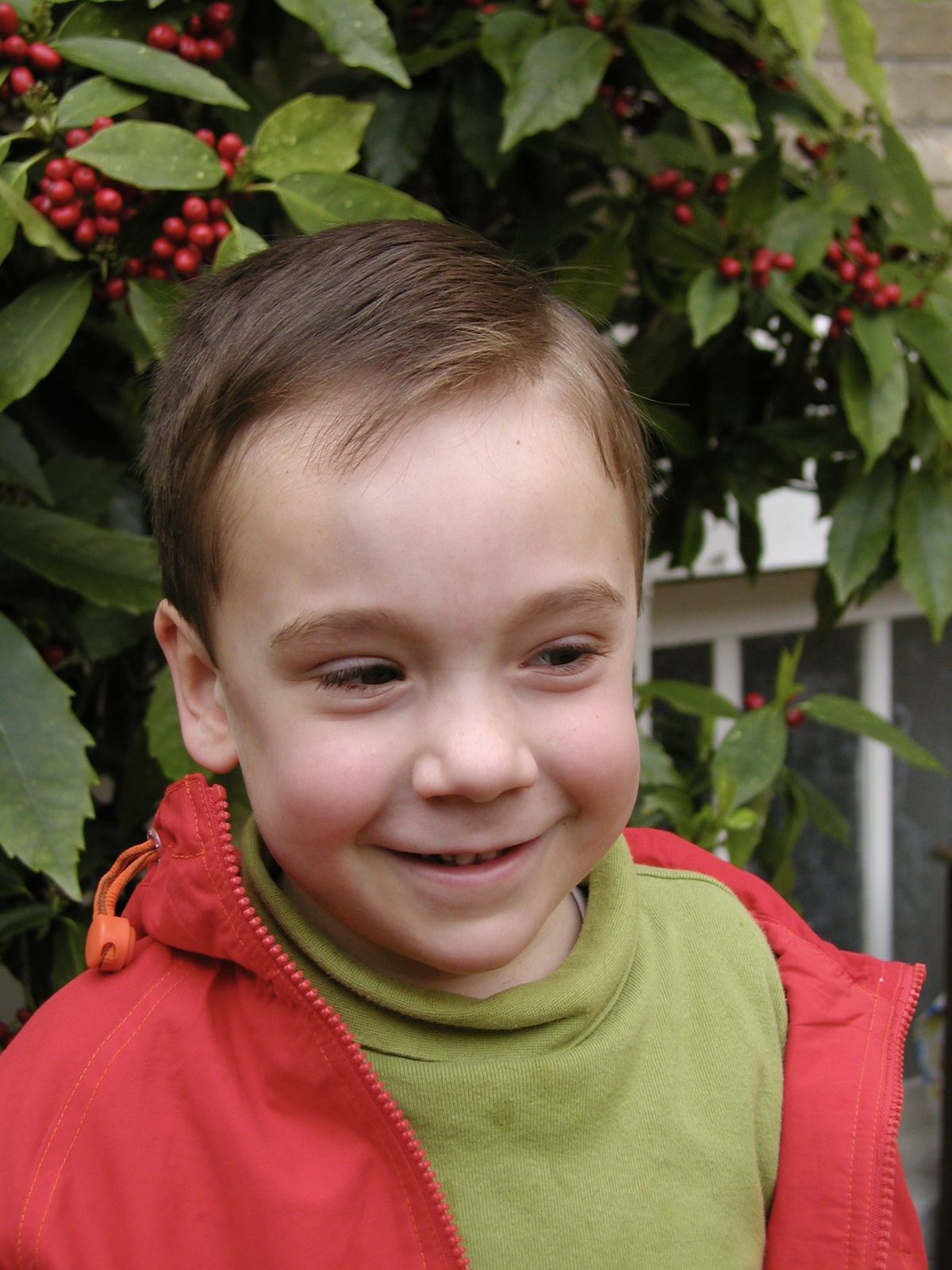 Photo 44