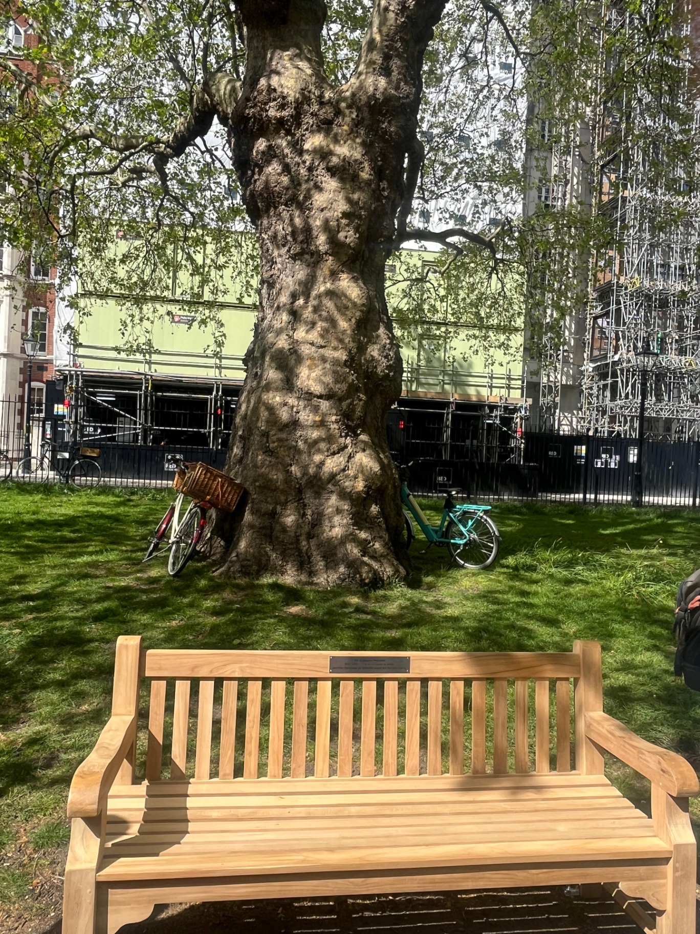 Banc dédié à Guillaume par ses amis, dans le parc de Lincoln's Inn Field à Londres